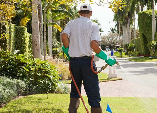 About Garberville CA Pest Control